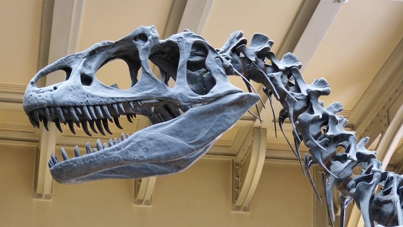 Dinosaur National Monument